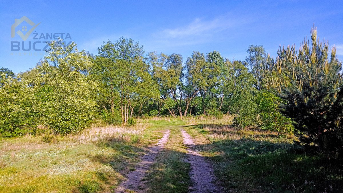 Działka budowlana na sprzedaż Adamowa Góra  1 100m2 Foto 5