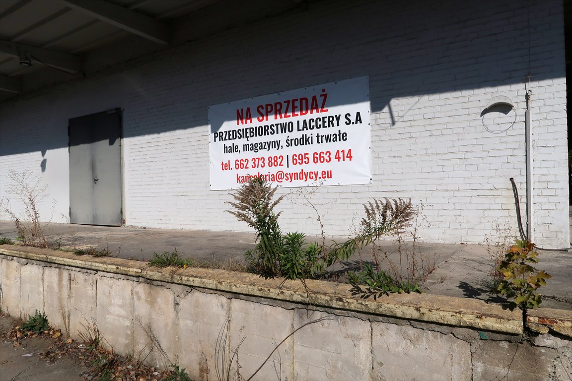 Magazyn na sprzedaż Legnica  5 050m2 Foto 5