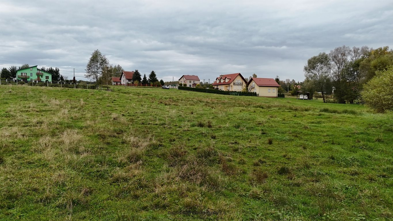 Działka budowlana na sprzedaż Czchów, Złota, Złota  1 600m2 Foto 5