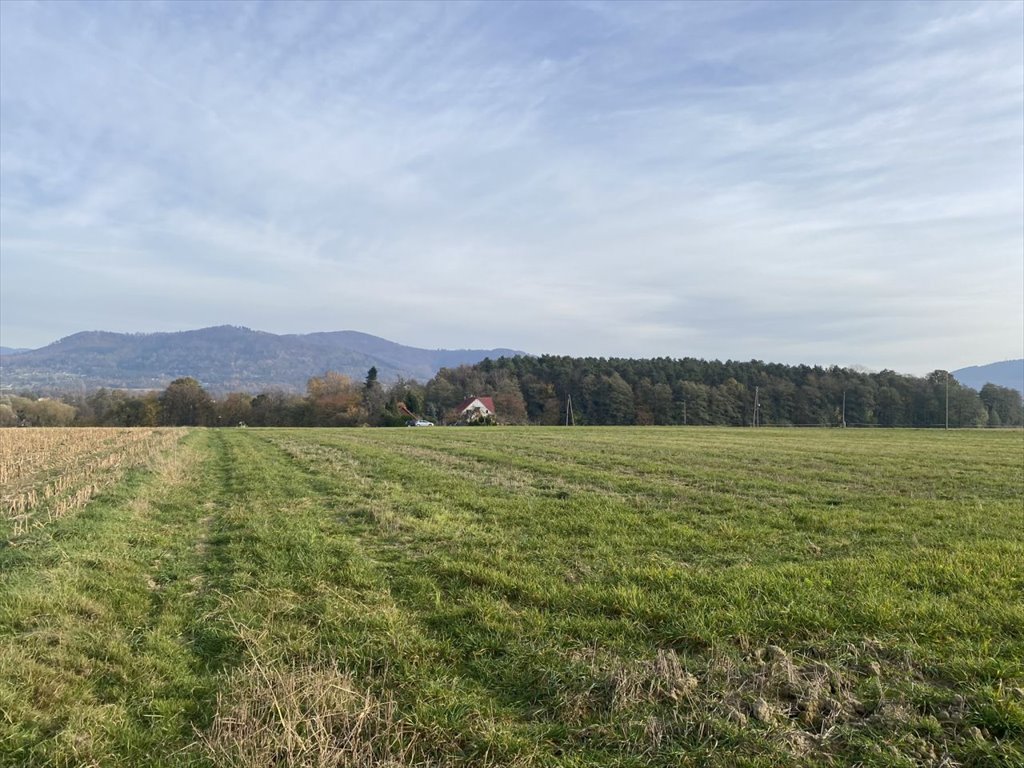 Działka rolna na sprzedaż Kozakowice Dolne, Kozakowice Dolne, Biała  6 400m2 Foto 2