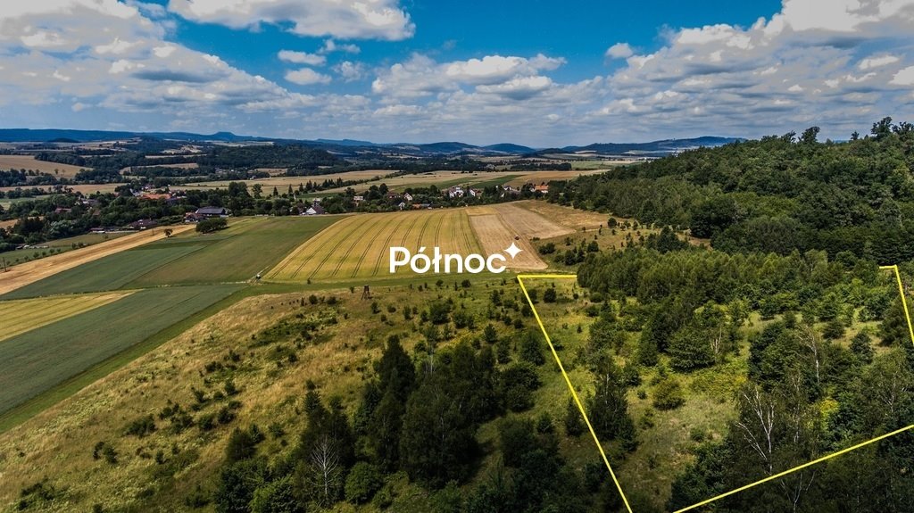 Sprzedam malowniczą działkę 1,78 ha z widokami na góry Bierkowice  17 800m2 Foto 1