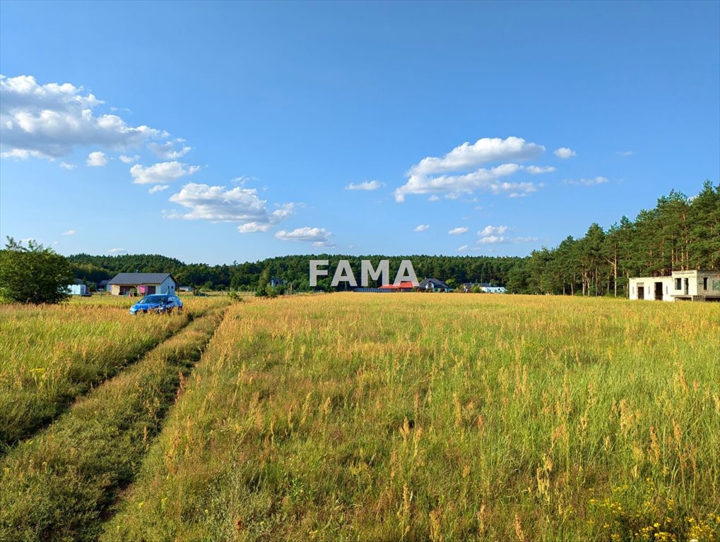 Działka budowlana na sprzedaż Kowal, Dębniaki  4 200m2 Foto 1