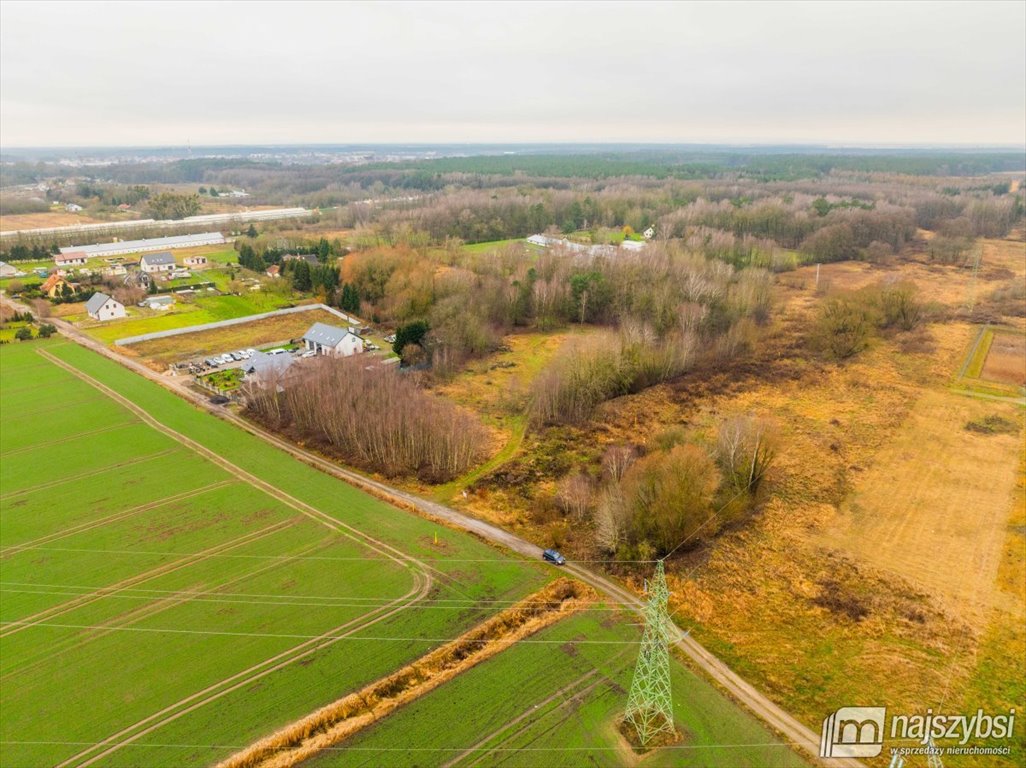 Działka rolna na sprzedaż Żółwia Błoć, Wieś  23 800m2 Foto 12