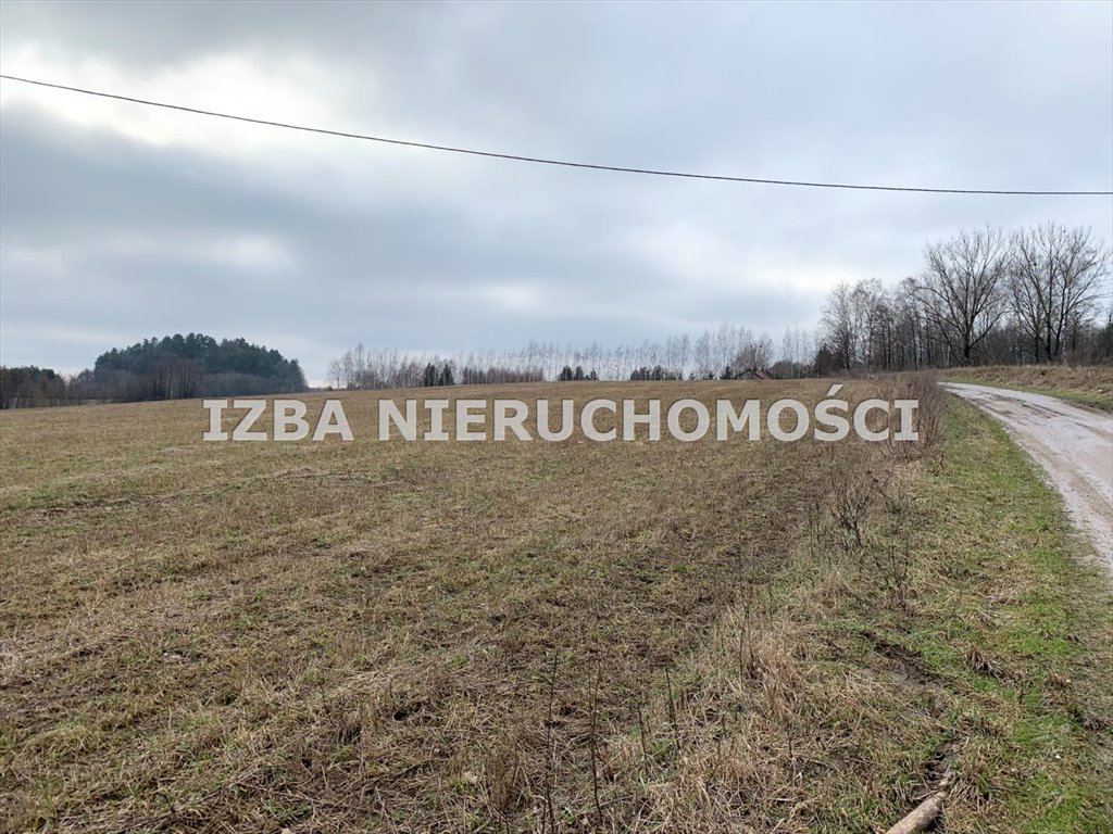 Działka rekreacyjna na sprzedaż Rękusy  3 000m2 Foto 17