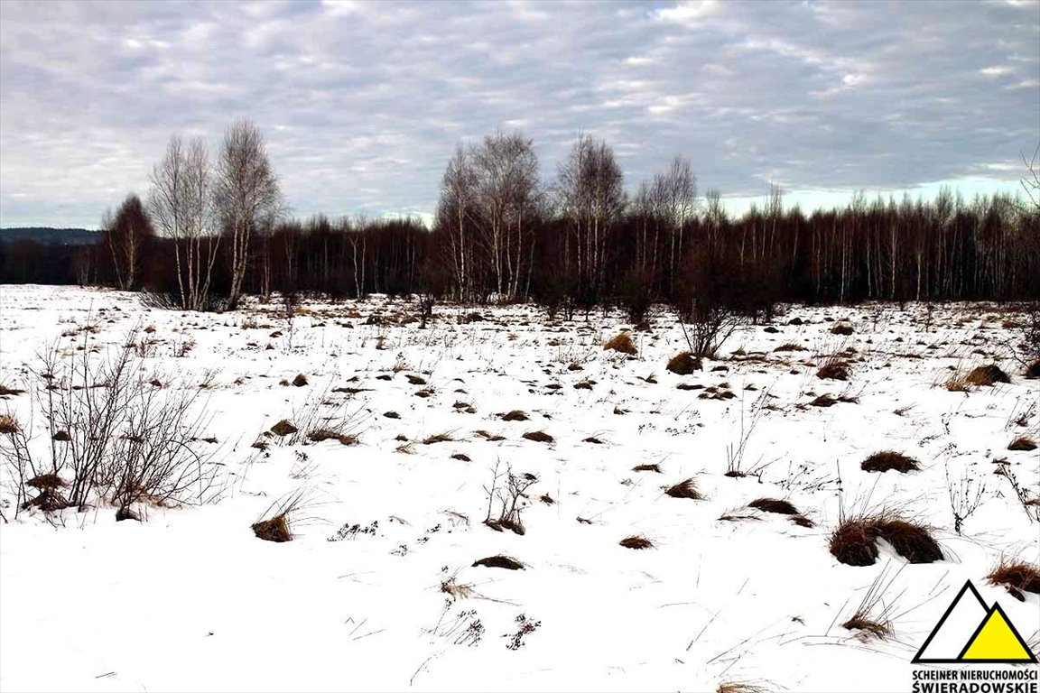 Działka budowlana na sprzedaż Orłowice, Orłowice  2 700m2 Foto 6