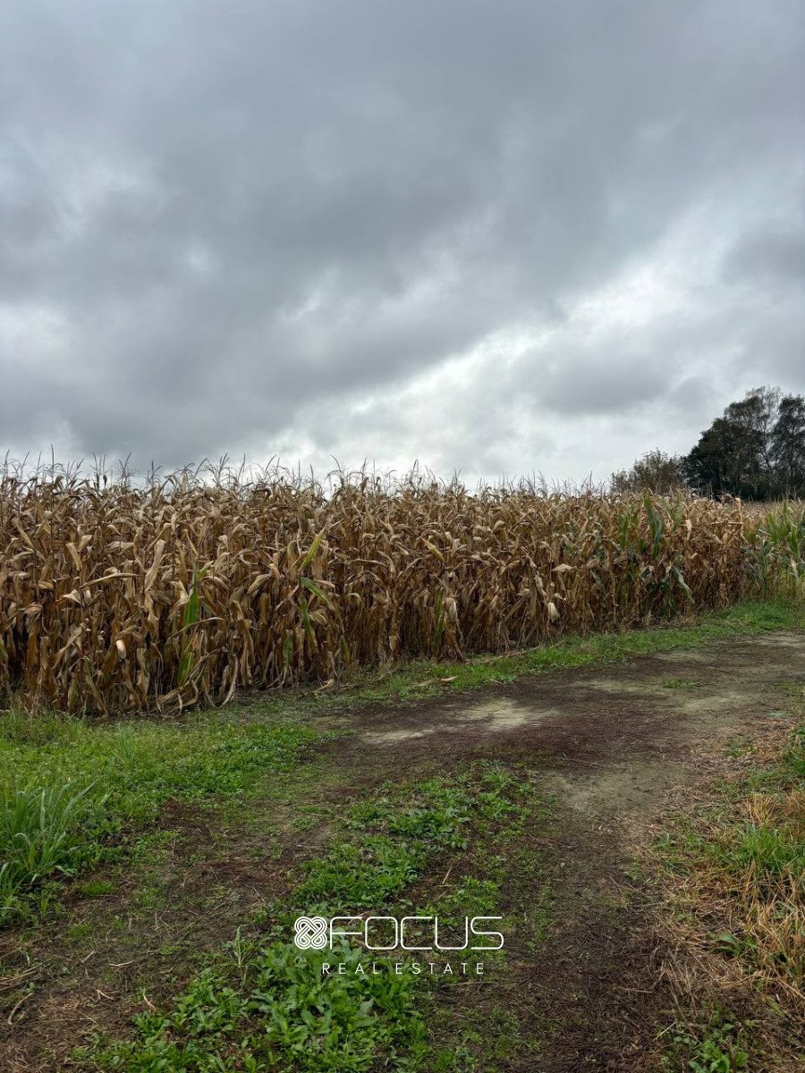 Działka przemysłowo-handlowa na sprzedaż Bramki, Północna  20 000m2 Foto 19