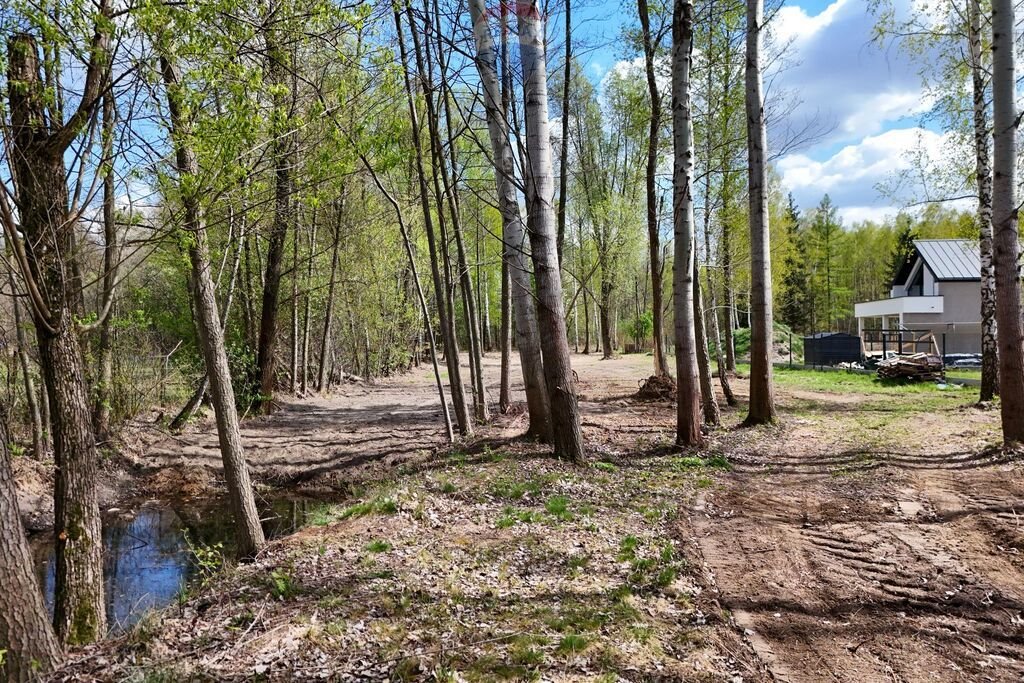 Działka 3174 m² z stawem i warunkami pod dom wśród drzew Budy Michałowskie, Karliczka  3 174m2 Foto 1