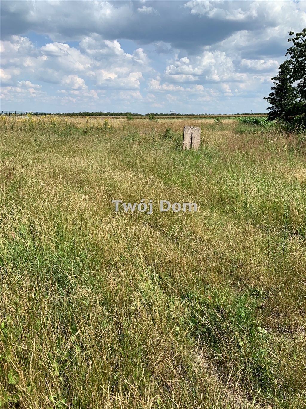 Działka budowlana na sprzedaż Buszkowo  2 800m2 Foto 1