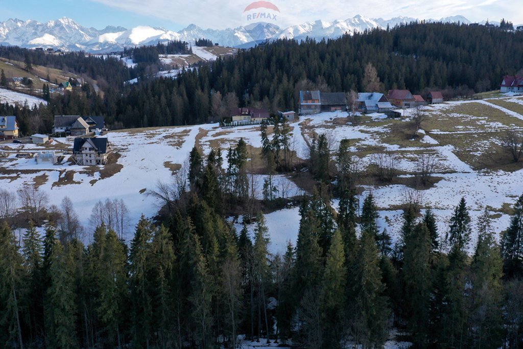 Działka rolna na sprzedaż Leśnica  3 665m2 Foto 1