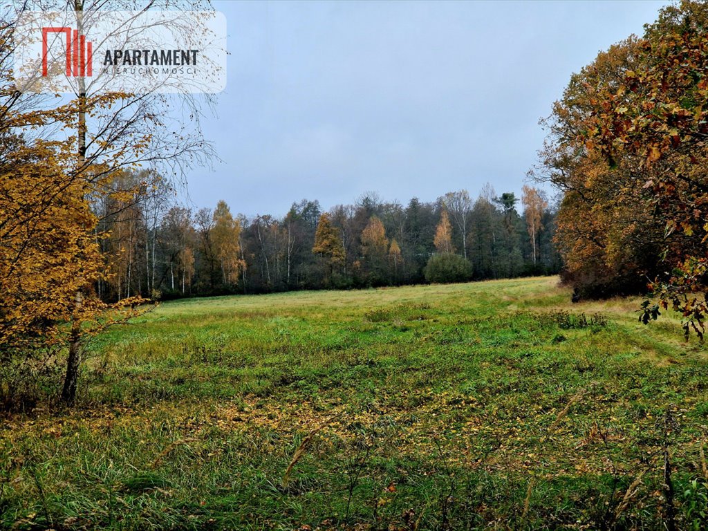 Działka budowlana na sprzedaż Raszówka  100 000m2 Foto 3