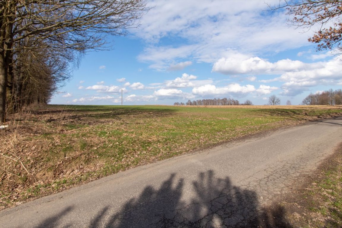 Działka rekreacyjna na sprzedaż Woźniki, Czarny Las, Czarny Las  14 911m2 Foto 10