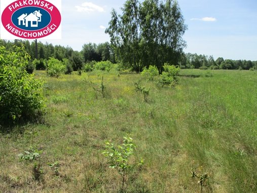 Działka budowlana na sprzedaż Długokąty  19 000m2 Foto 5