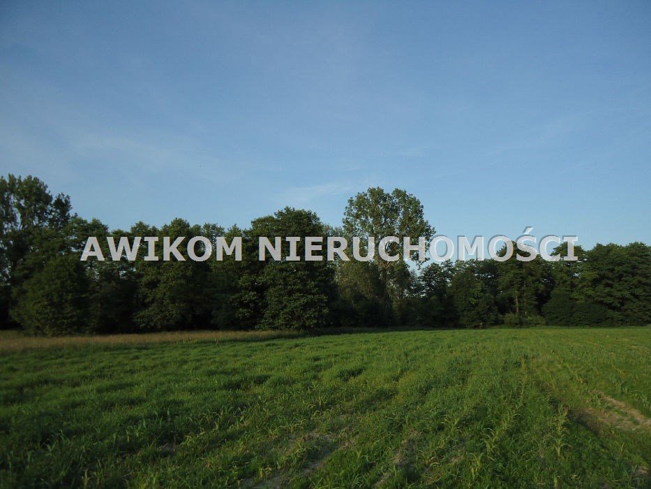 Działka 2,4 ha z drzewami i dojazdem 250 m od asfaltu Jaktorów, Jaktorów/Budy Zosine  24 370m2 Foto 1