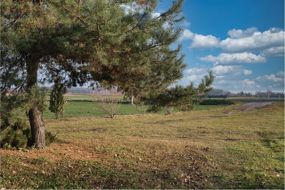 Działka przemysłowo-handlowa na sprzedaż Świdnik Duży, Świdnik Duży Drugi  7 100m2 Foto 12