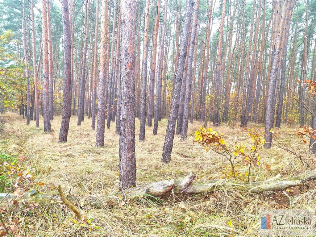 Działka rolna na sprzedaż Poznań, Glinienko  40 000m2 Foto 6