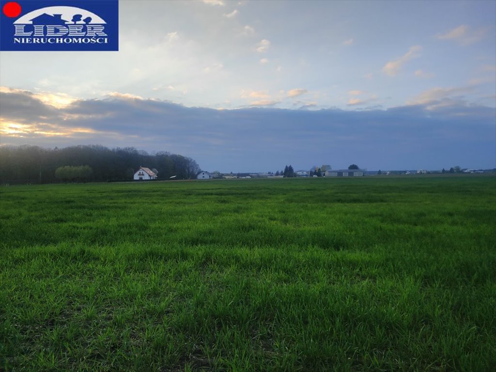 Działka budowlana na sprzedaż Ceradz Dolny  2 206m2 Foto 1