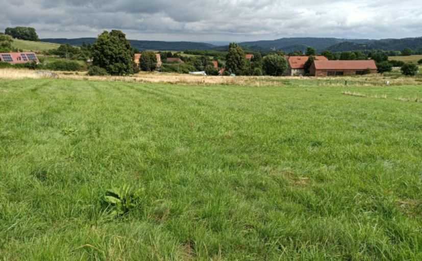 Polecam działkę 2200 m² z widokiem na Zamek Grodno Walim, Niedźwiedzica  2 200m2 Foto 1