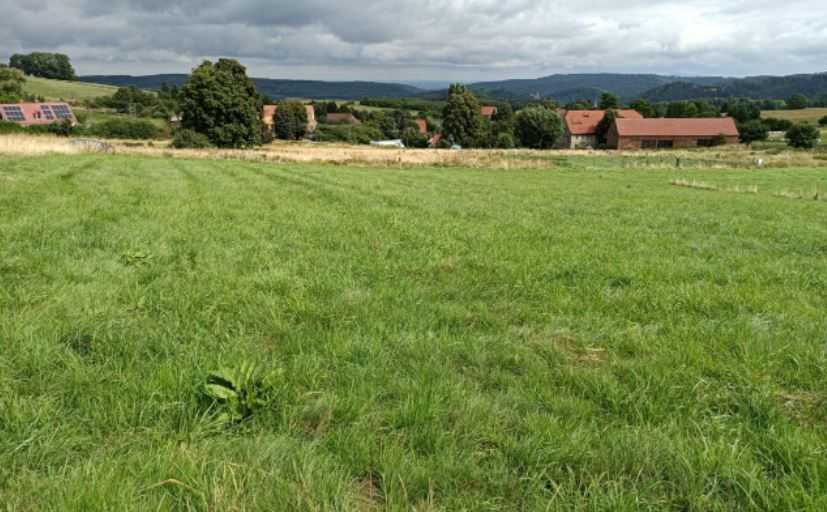 Działka inna na sprzedaż Walim, Niedźwiedzica  2 200m2 Foto 1