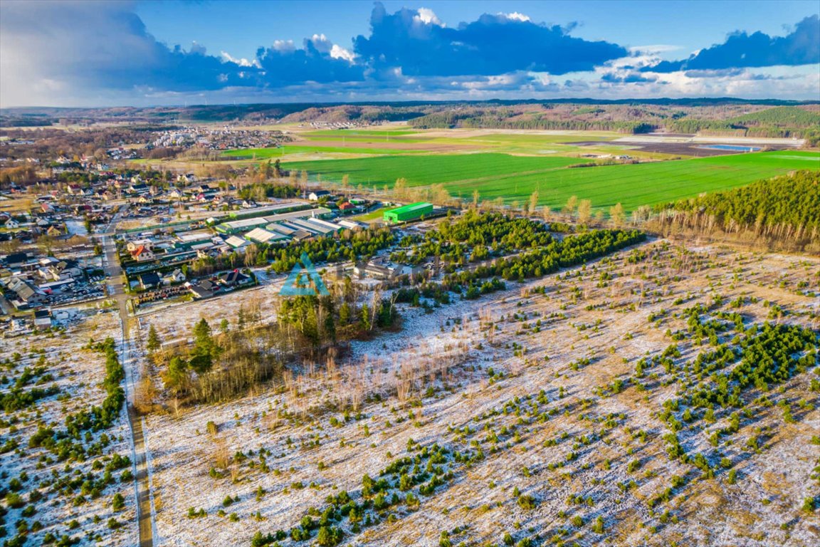 Działka przemysłowo-handlowa na sprzedaż Bożepole Małe  36 800m2 Foto 3