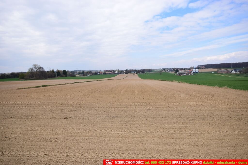 Duża działka inwestycyjna 1,12 ha z MPZP, las i zalew blisko Zemborzyce Podleśne  11 200m2 Foto 1
