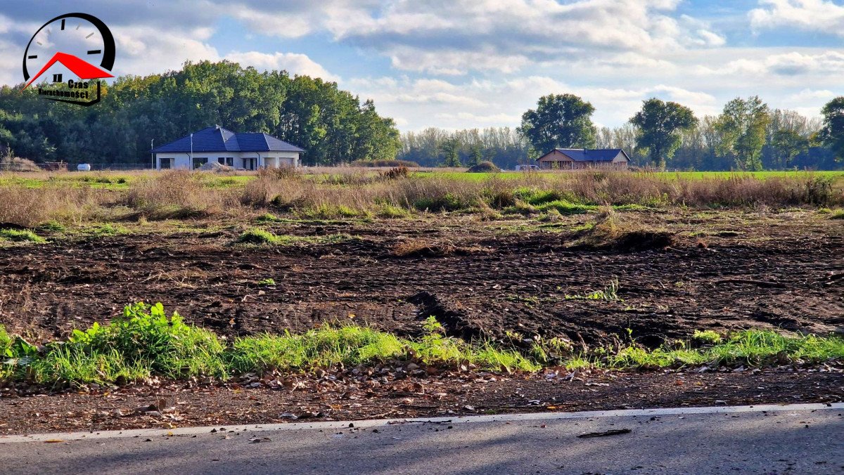 Działka budowlana na sprzedaż Łojewo  1 000m2 Foto 10