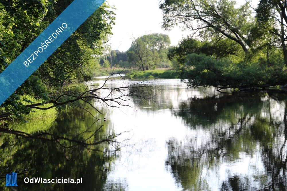 Do sprzedania działka 4000 m² z dostępem do rzeki Liswarty Lipie  4 000m2 Foto 1