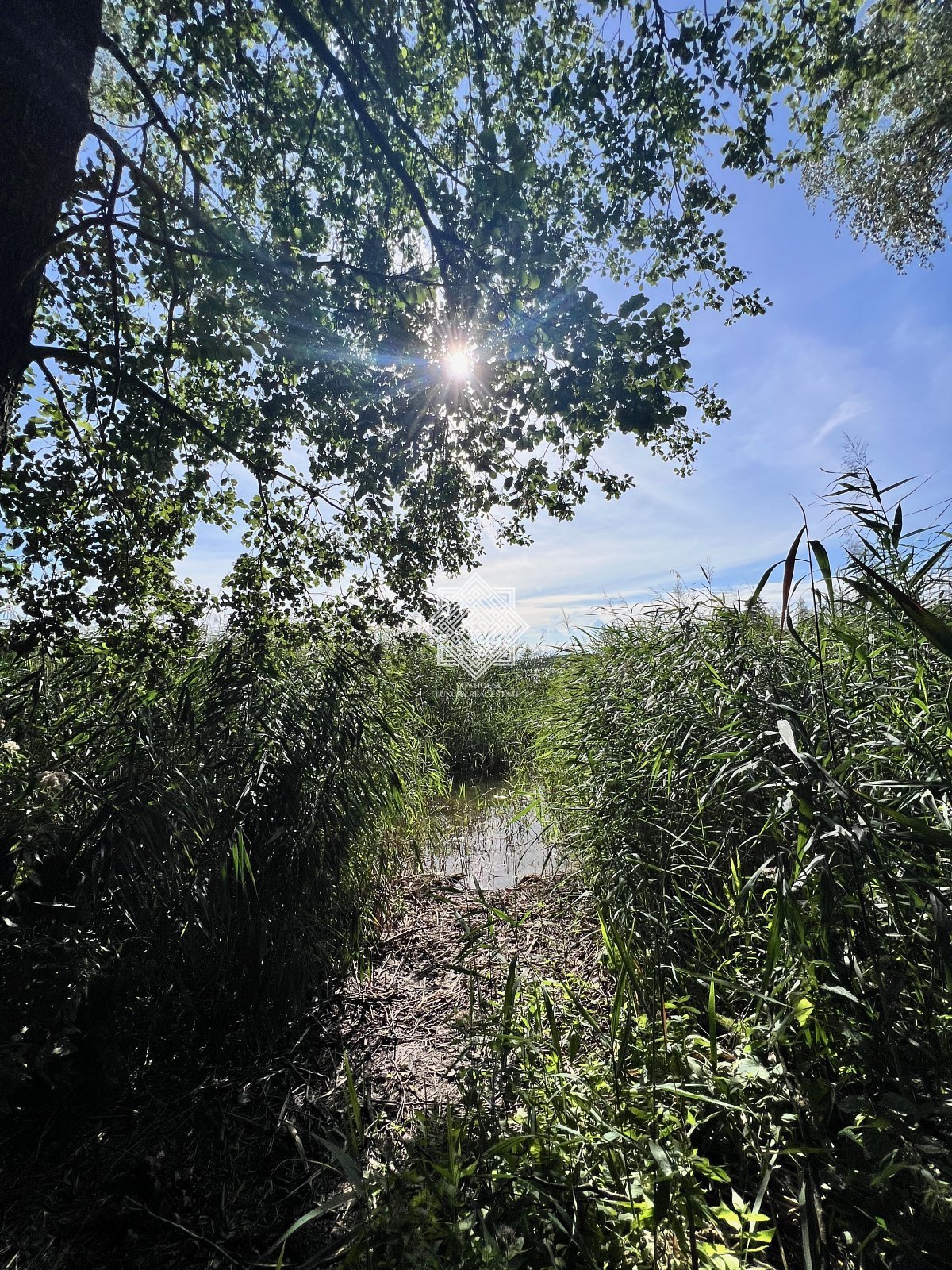 Działka inna na sprzedaż Grądy Kruklaneckie  10 300m2 Foto 3