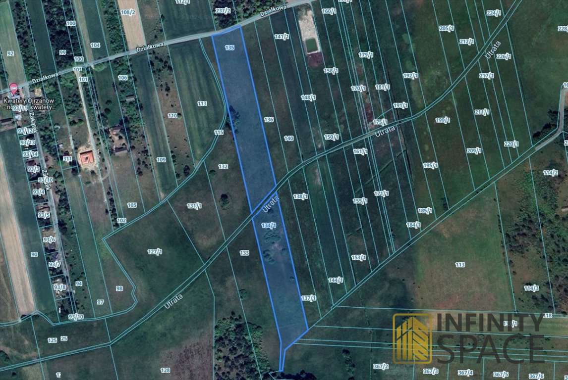 Działka siedliskowa na sprzedaż Ojrzanów-Towarzystwo  25 000m2 Foto 7