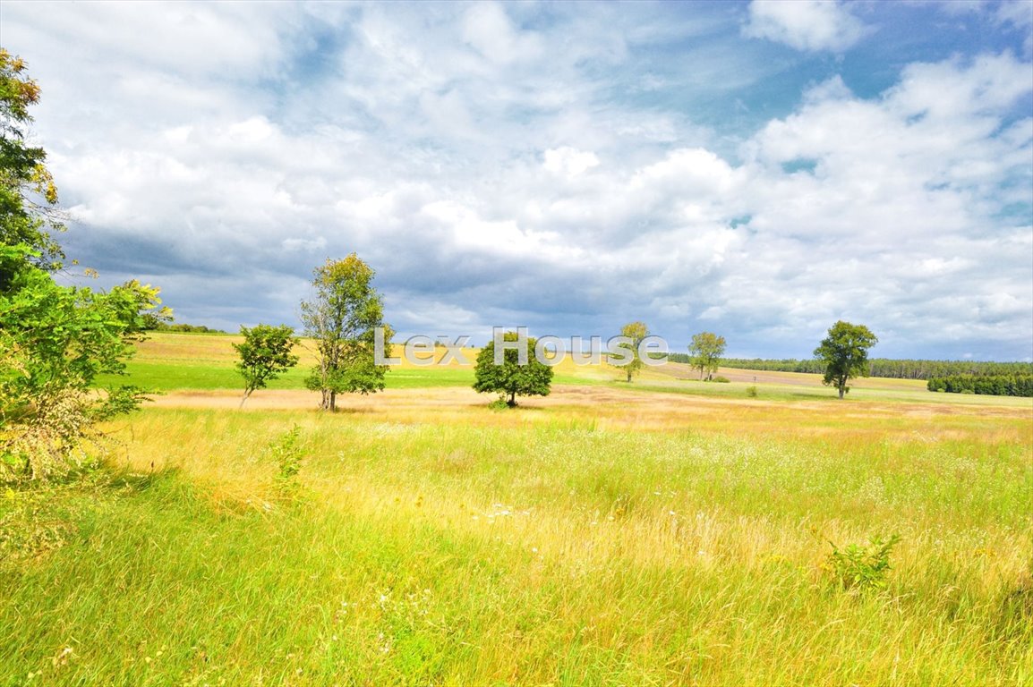 Działki budowlane z warunkami, prąd i woda, 25 min do Szczecina Dobropole Gryfińskie  2 566m2 Foto 1