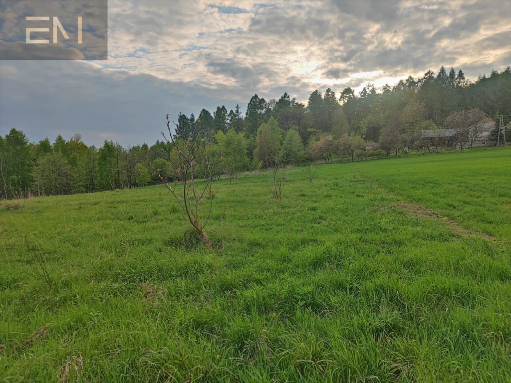 Działka budowlana na sprzedaż Hadle Kańczuckie  3 300m2 Foto 8