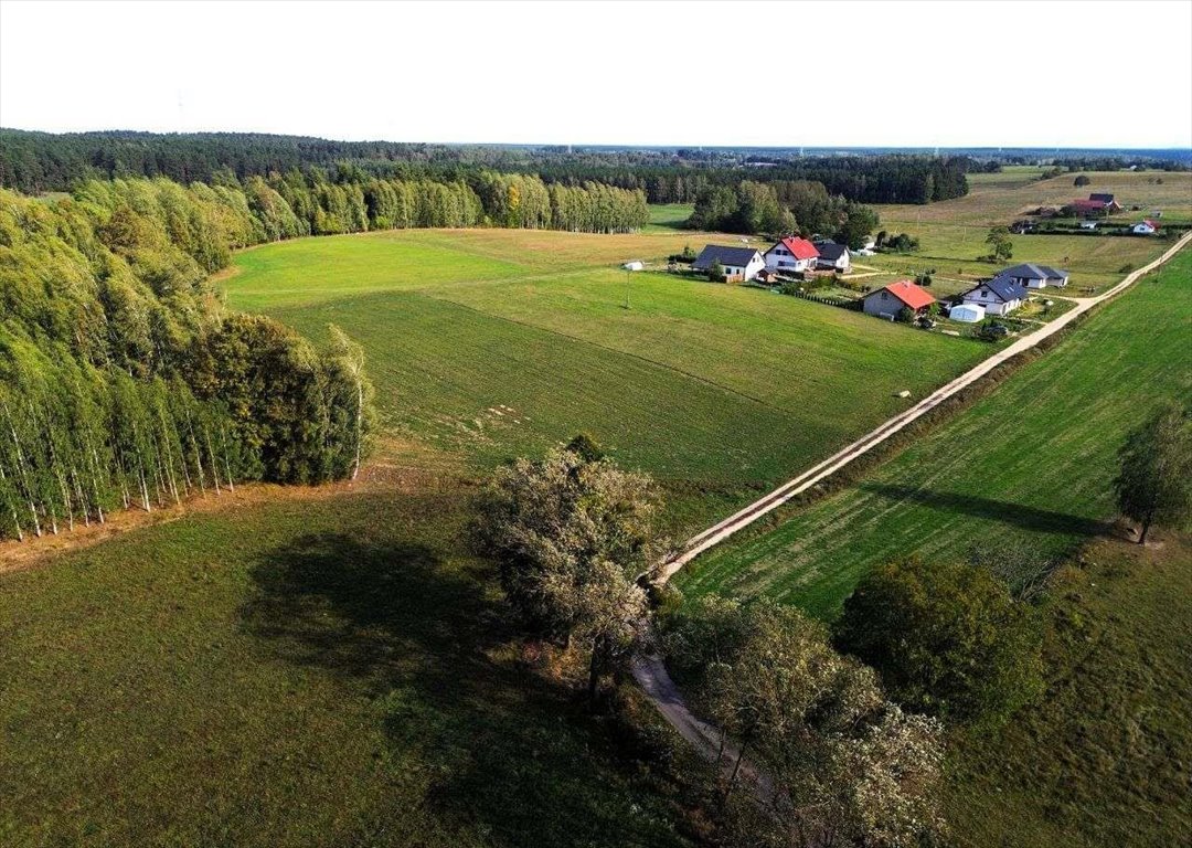 Działka rolna na sprzedaż Lipowa Góra Wschodnia  1 650m2 Foto 7