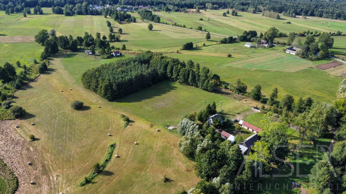 Działka budowlana na sprzedaż Stare Budy  1 017m2 Foto 12