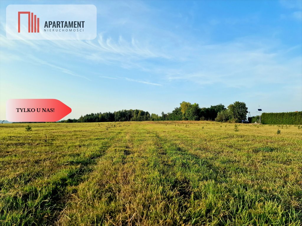 Działka budowlana na sprzedaż Czarże  1 000m2 Foto 9