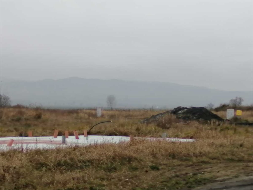 Działka inna na sprzedaż Pieszyce  1 000m2 Foto 4