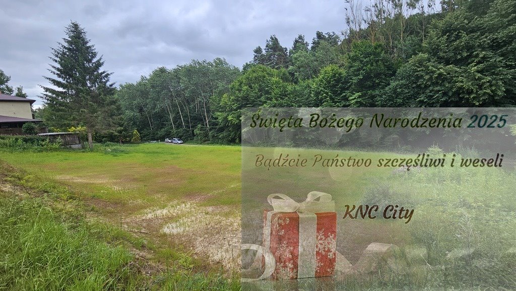 Działka budowlana na sprzedaż Nałęczów, Powstańców 1863 r.  2 831m2 Foto 1