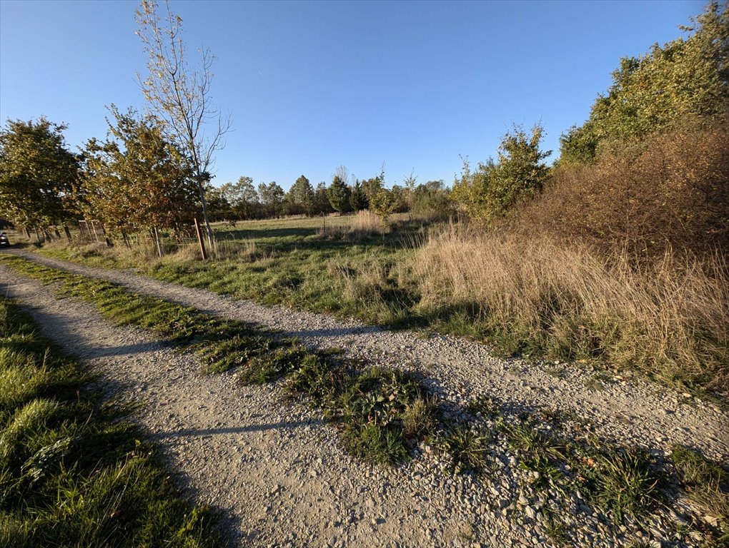 Działka budowlana na sprzedaż Maleszowa  2 800m2 Foto 7