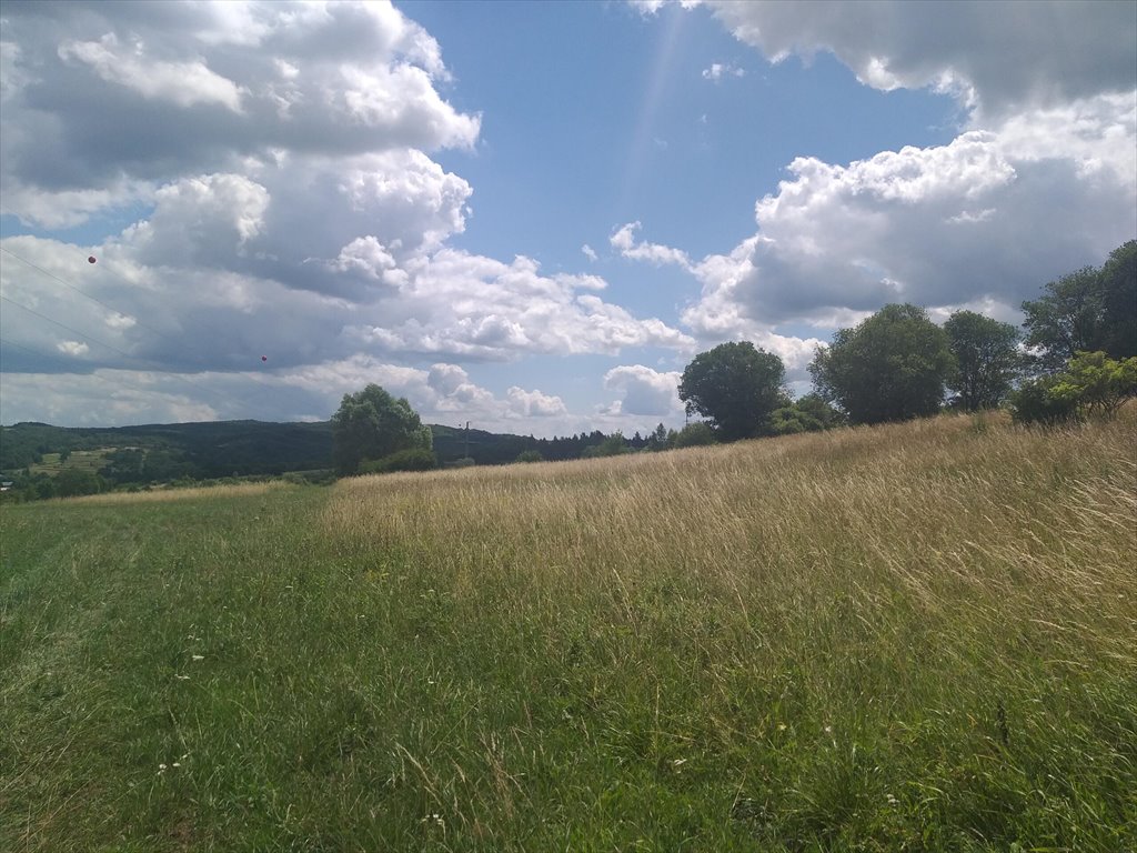 Działka rolna na sprzedaż Makowiska  9 700m2 Foto 1