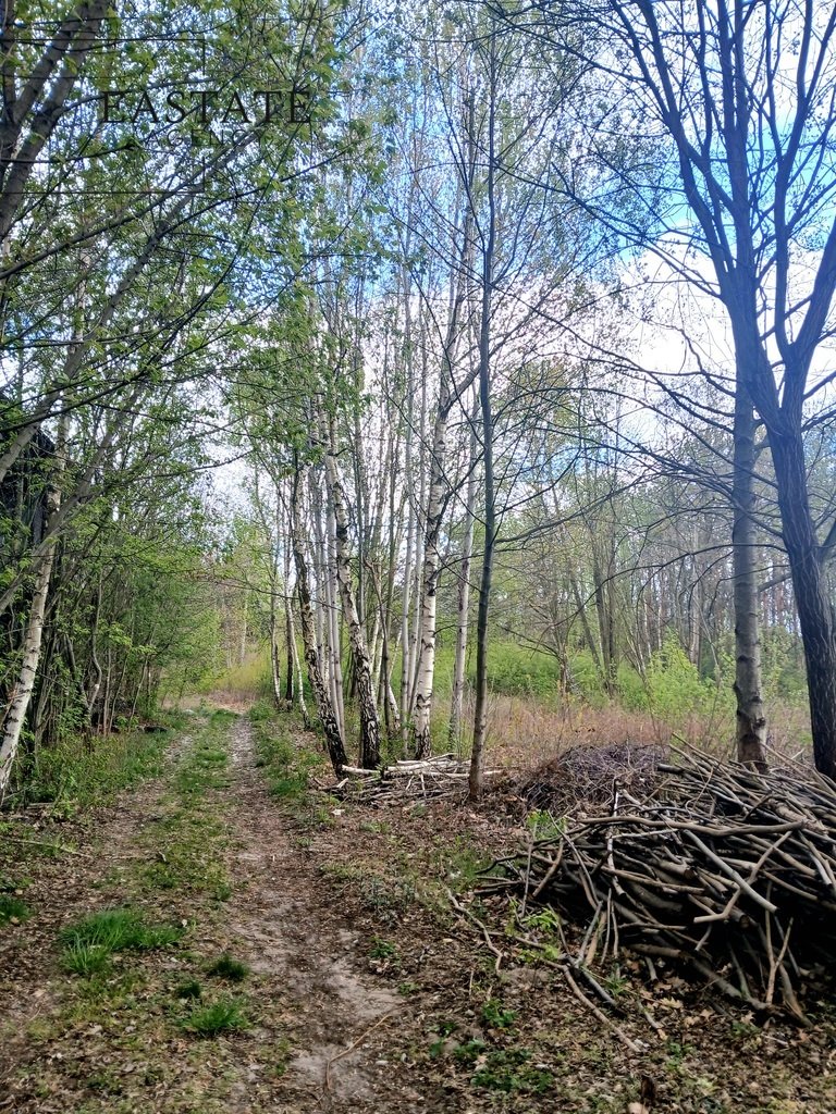Działka 984 m² z potencjałem inwestycyjnym i funkcją mieszkaniowo-usługową Góra Kalwaria, Marianki, Walewicka  984m2 Foto 1