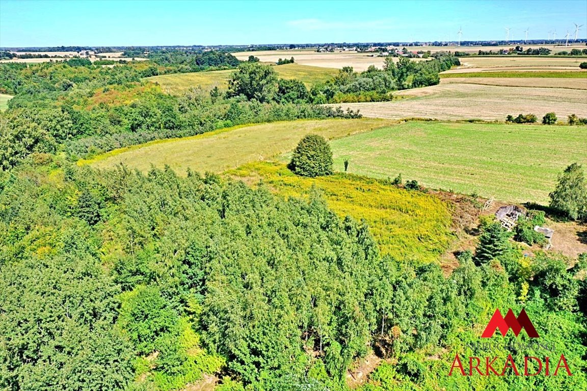 Działka budowlana na sprzedaż Dobrzyń nad Wisłą, Bachorzewo  3 099m2 Foto 5