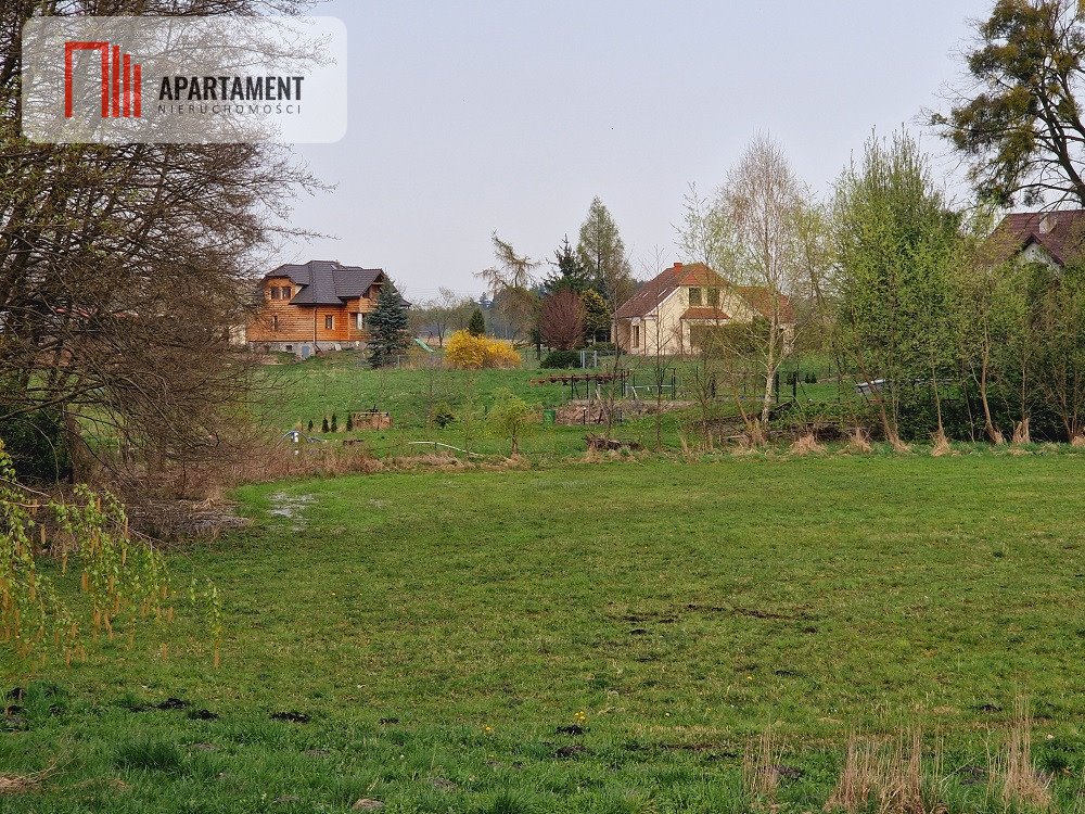 Działka budowlana na sprzedaż Świekatowo, Leśna  7 000m2 Foto 3