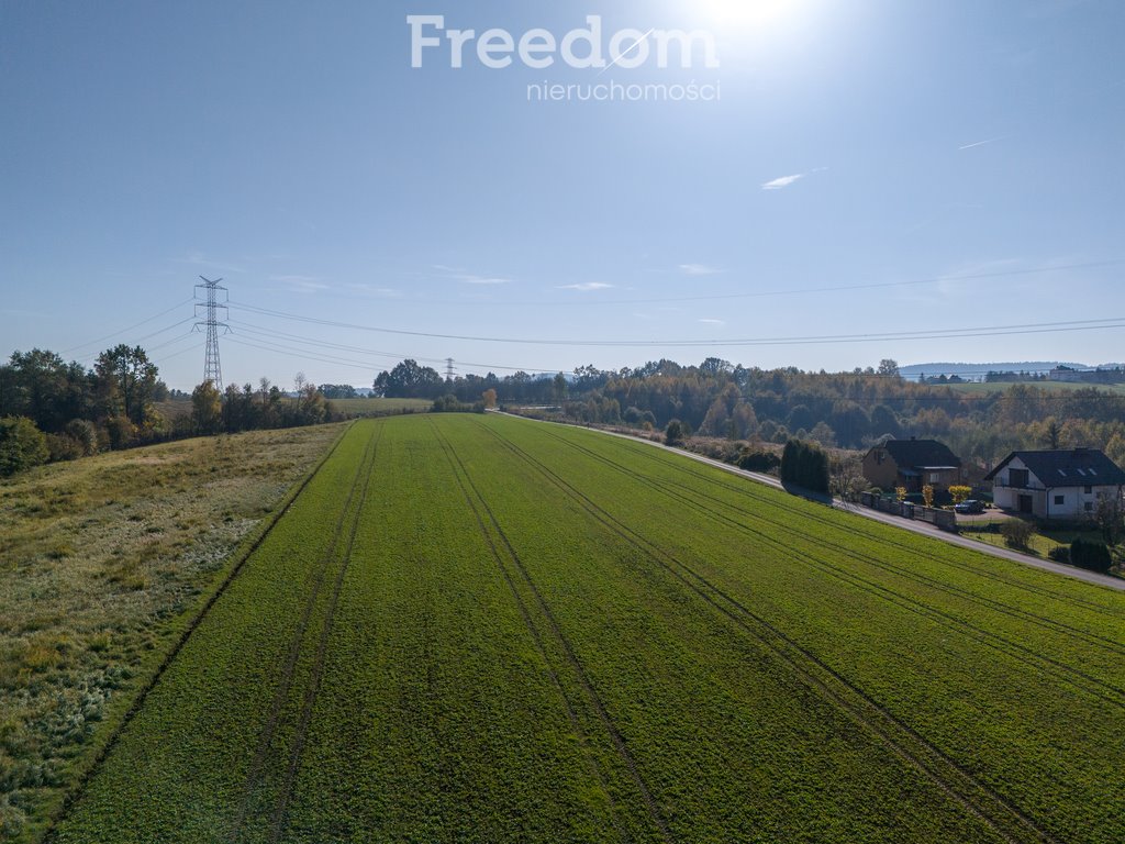 Działka inna na sprzedaż Brzeźnica, Świerkowa  19 000m2 Foto 3