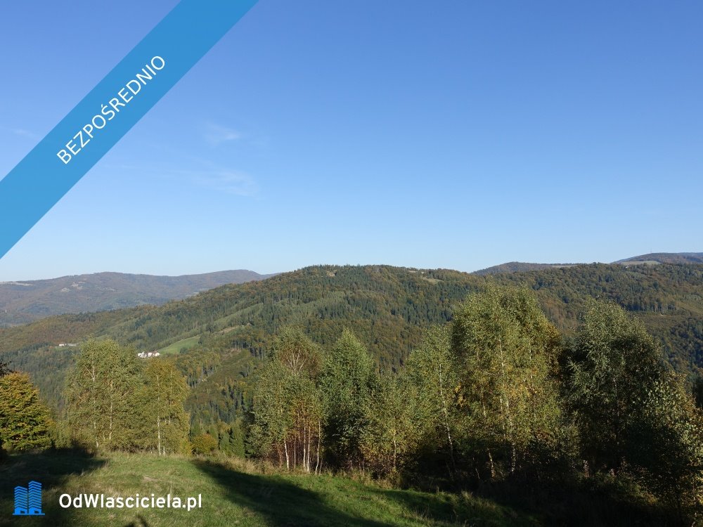Działka inwestycyjna 25 300 m² w Brennie - zapraszam Brenna  25 300m2 Foto 1