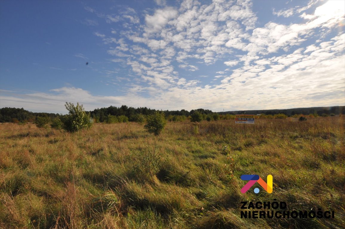 Działka budowlana na sprzedaż Zielona Góra, Jany  3 310m2 Foto 1