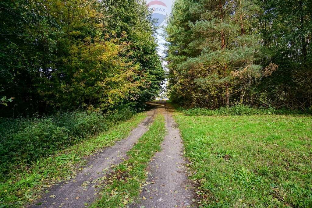 Działka budowlana na sprzedaż Waleriany  1 701m2 Foto 7