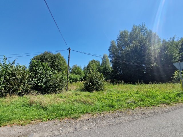 Działka budowlana na sprzedaż Orzesze, Zgoń, Akacjowa  1 711m2 Foto 4