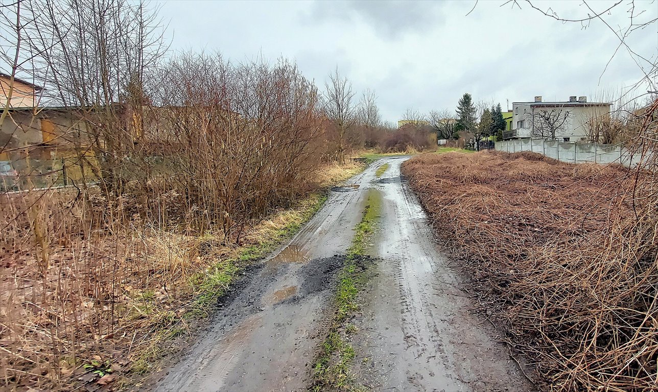 Działka budowlana na sprzedaż Radzionków, Szymały  2 563m2 Foto 3