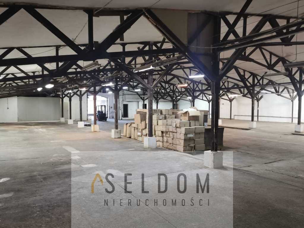 Magazyn na sprzedaż Jelenia Góra, Centrum  1 298m2 Foto 7