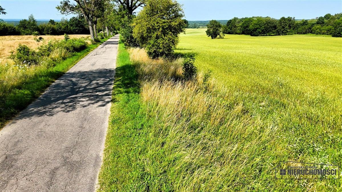 Działka inna na sprzedaż Mieszałki  139 900m2 Foto 7