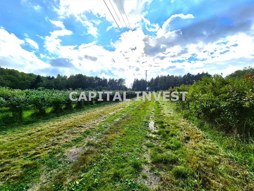 Działka inwestycyjna 70 000 m² z widokiem na góry - polecam! Klecza Dolna  70 000m2 Foto 1