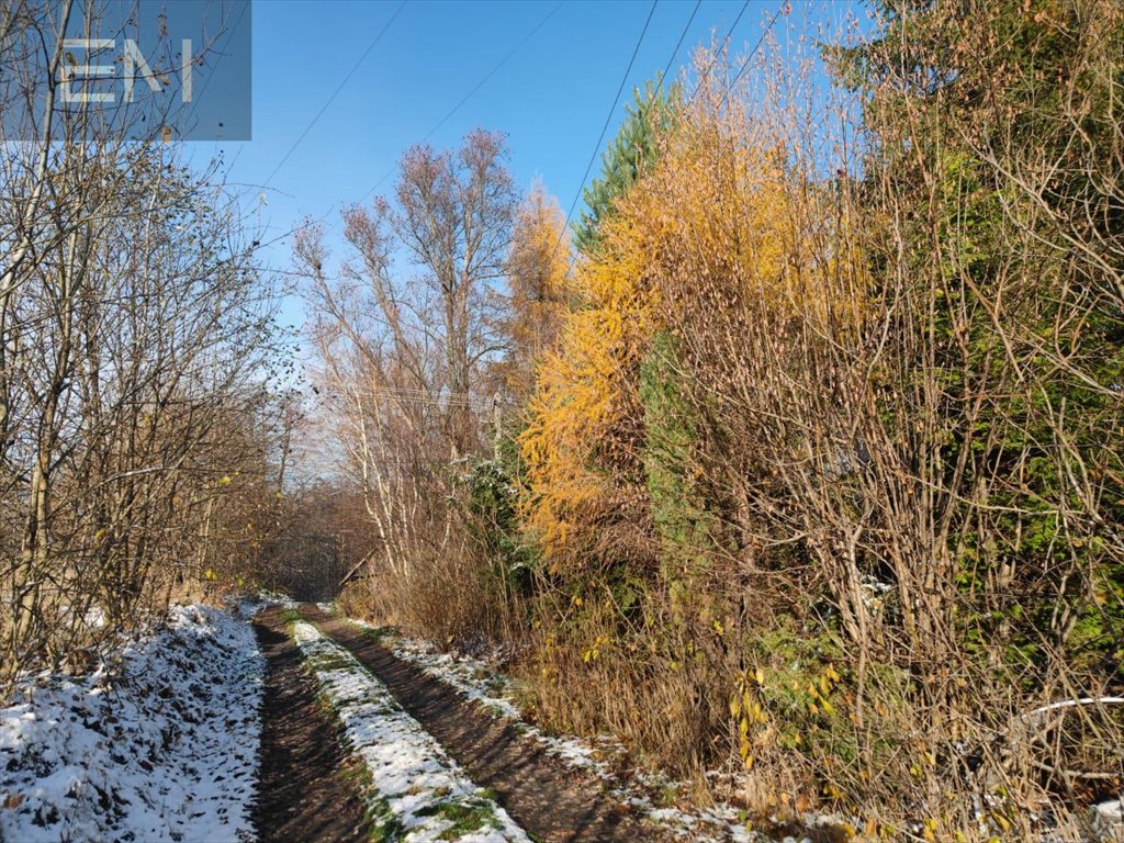 Działka budowlana na sprzedaż Babica  6 000m2 Foto 14